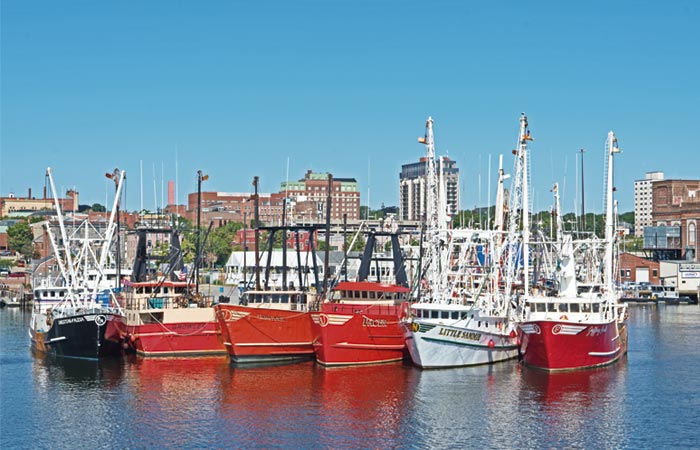 New Bedford harbor boats